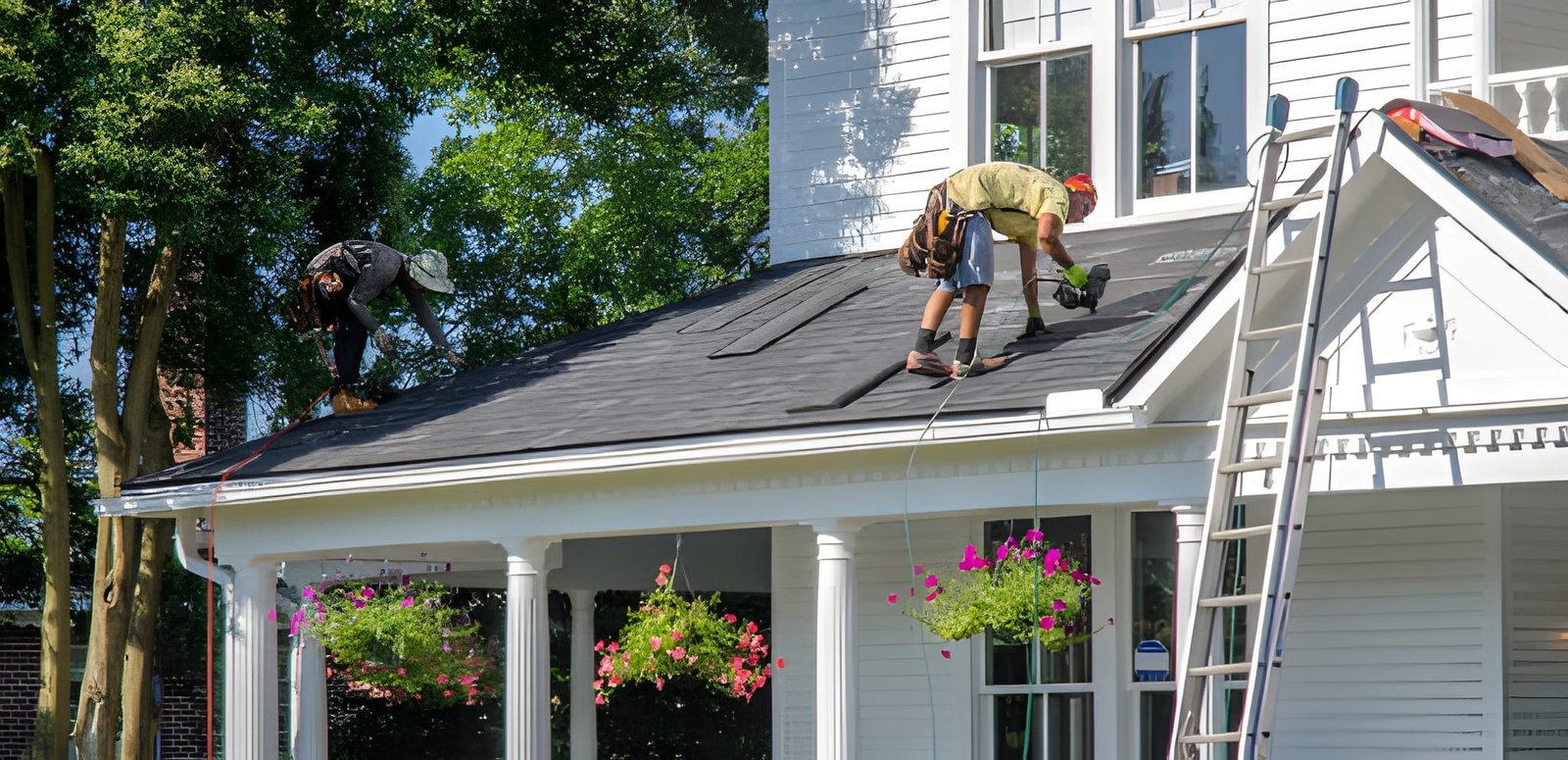 steptodown.com460646